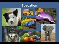 IB A4 1 Evolution Speciation