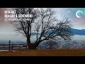 Download Lagu Kita-Kei - Reason \u0026 Sentiment [Molekular Sounds] Extended