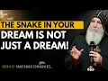 The Snake in Your Dream Is a Warning from God Don t Ignore It MAR MARI EMMANUEL