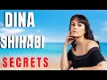 The Untold Secrets of Dina Shihabi s Journey Vibestodaynews