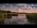Sad and Beautiful World