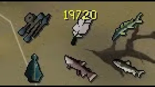 FISHING HAS NEVER BEEN THIS AFK - OSRS AFK Fishing Guide 55K
