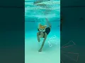 Download Lagu SWIM 😮‍💨 pool #quadrobics !!! [ #therian #furry #therianthrophy #water #fyp ]