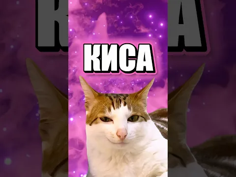ТЫ МОЯ КИСА ШОКОЛАДКА 🐈🤍