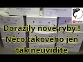 Download Lagu Takhle vypadá nová zásilka snů! Import ryb u Jiřího Kudrny