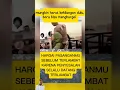 Download Lagu kalo sudah tiada Baru terasa #suamiistri #kata² #cerai #kataku #sedih