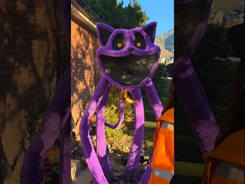 New Monster Catnap Halloween Animatronic!