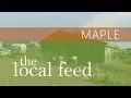 Maple Mapleland Farms The Local Feed