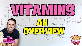 Vitamins An Overview