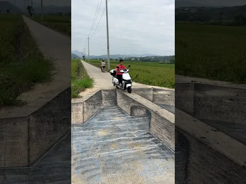 这是什么情况