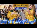 Download Lagu Nazare Lad gaiya indian song || Urwa Khan Latest Mujra Dance Performance 2025 || dance performance