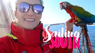 Sailing Florida’s West Coast | SMLS S11E13