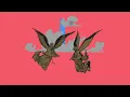 Bon Iver - Hey, Ma - Official Video