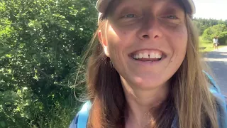 Exploring the World of Fairies and Gnomes