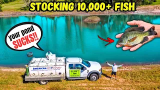 Stocking 10 000 NEW Fish in the Backyard Pond BAD NEWS