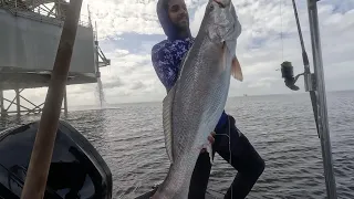 Monster Big Scale Salmon Caught ! Fishing On The Reel Nutz Charters With Captain Raamiz, Trinidad.
