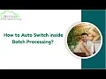 How to Auto Switch inside Batch Processing