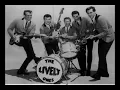 The Lively Ones  - Goofy Foot