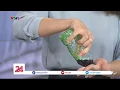 Download Lagu Chè mà chính người làm ra cũng không dám uống - Tin Tức VTV24