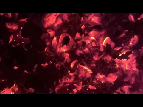 INDUSTRIALISTIC - short film
