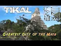 Download Lagu TIKAL - greatest city of the Maya