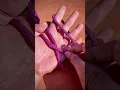 Tying the butterfly loop
