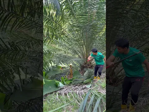 Sabit baja mini multifungsi