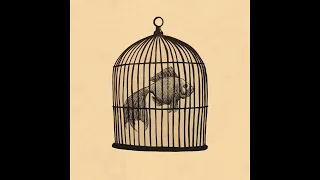 Rule - Fish In A Birdcage Instrumental