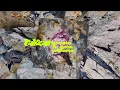 Fakear feat. Dana Williams - Ghosts (Official Visualizer)