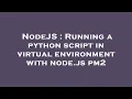 NodeJS Running a python script in virtual environment with node js pm2