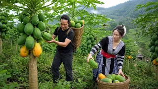 Living in the Forest, Harvesting Papayas, Preserving Pork, Caring for a Litter of Newborn Piglets