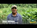 Part 1 - Growing a Large Backyard Vegetable Garden with Soil 3