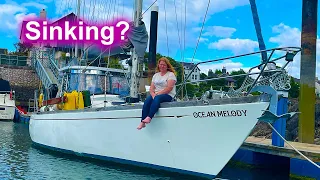 SLOWLY SINKING??? The real reasons we’re still here.