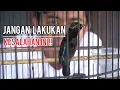 Download Lagu Kesalahan kesalah dalam merawat KONIN