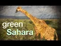 Download Lagu Rotskunst in de Groene Sahara