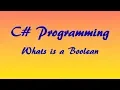 C Tutorial What is a Boolean