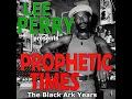 LEE PERRY - City Too Hot (1977)