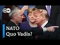Download NATO at 70: 'Brain dead' or fighting fit? | To the point mp4 3gp mp3 videos - waplic