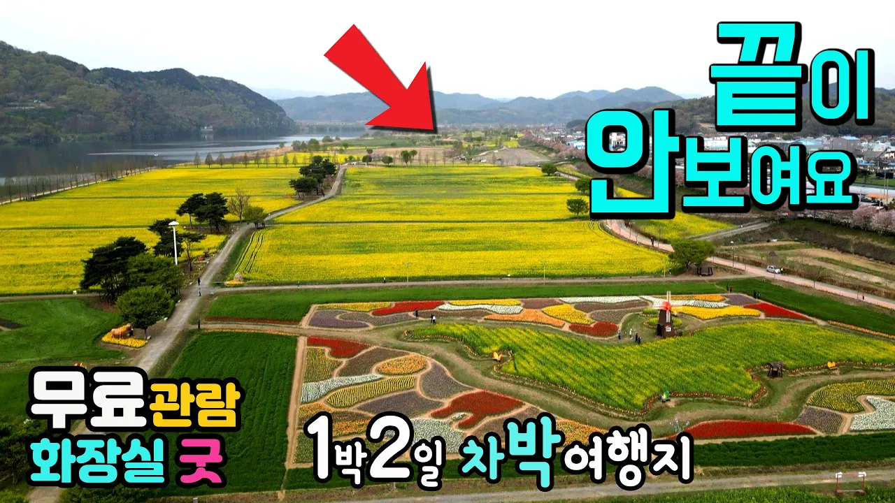 창녕 남지유채밭 축제 너무나 넓어서 기차타고 본다는 무료관람 유채축제 1박2일 차박여행으로 차박캠핑 캠핑카여행, 낙동강유채축제 창녕유채축제 남지유채축제 썸네일