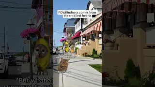 CAT MEMES Kindness comes from the smallest hearts