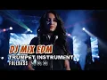 Lagu DJ Mix Trumpet Instrument FullBass 🔊🔊🔊