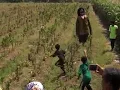 Download Lagu WOW..DAWANGAN NGMUK KEJAR ANAK KECIL SAMPAI TENGAH SAWAH 😨