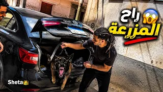 الكلب اللي اشتريتو من سوق الجمعة لازم يمشي😱 |كلابي هتموتو 😭💔