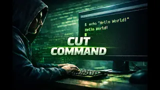 BASH from beginner to advanced Solutions to Hackerrank Challenges - Episode 15 Cut Command