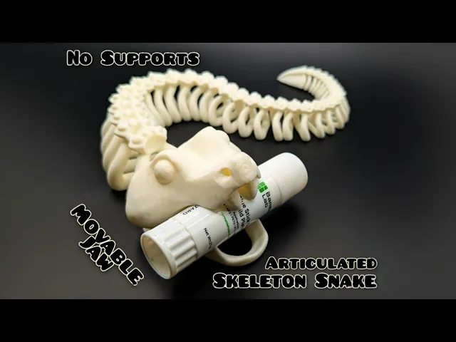 Articulated Skeleton Snake video thumbnail