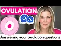 Ovulation Q A OPKs BBT Cervical Mucus and more