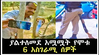 ያልተለመደ አሟሟት የሞቱ 6 አስገራሚ ሰዎች 