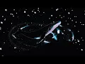 Download Lagu The Rose- ‘Ticket To The Sky’ (Slowed Down + Bass Boosted)