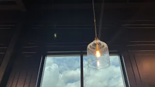 Progress Lighting Ilia 1-Pendant Light Transitional Light Fixture Matte Black with Clear Glass Sha