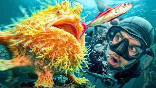 Deep Sea Creatures You Won't Believe Are Real!
